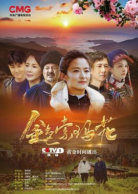 金色索瑪花(2020)第17集