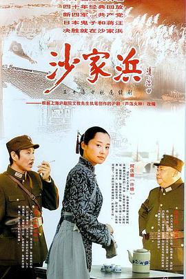 沙家浜2006第18集