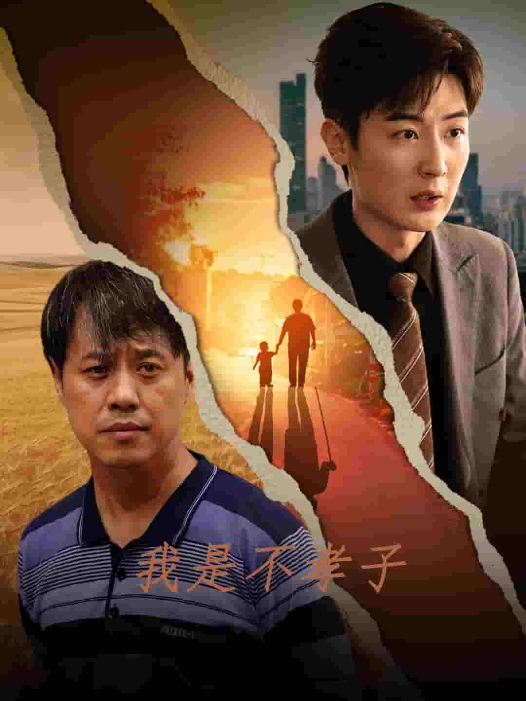 我是不孝子第27集