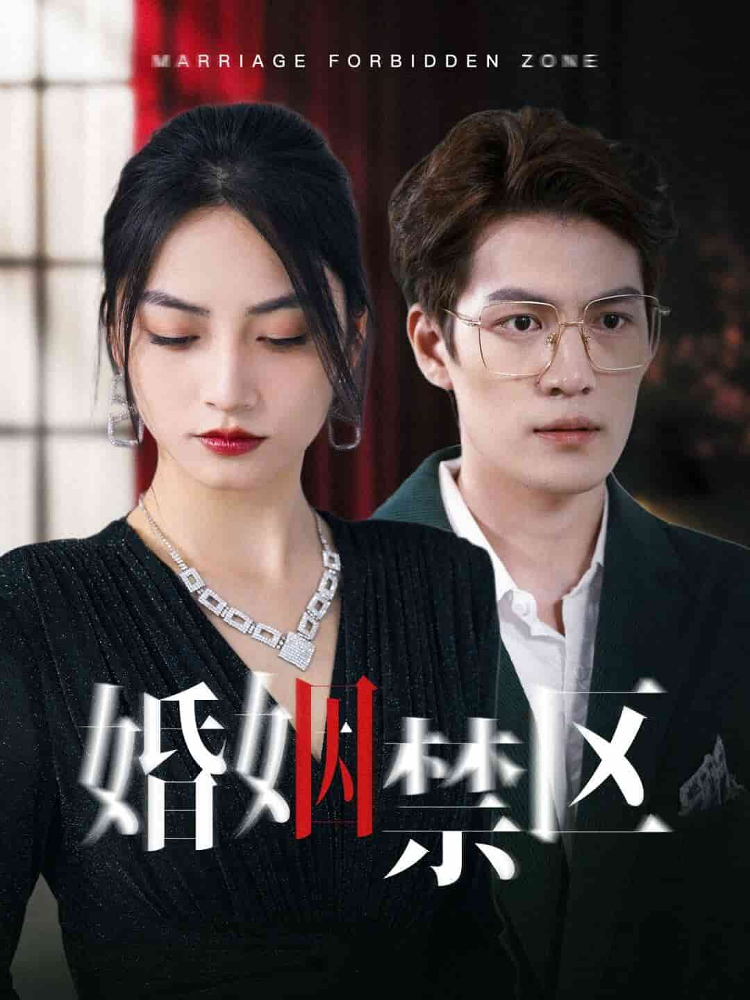 婚姻禁區(qū)第11集