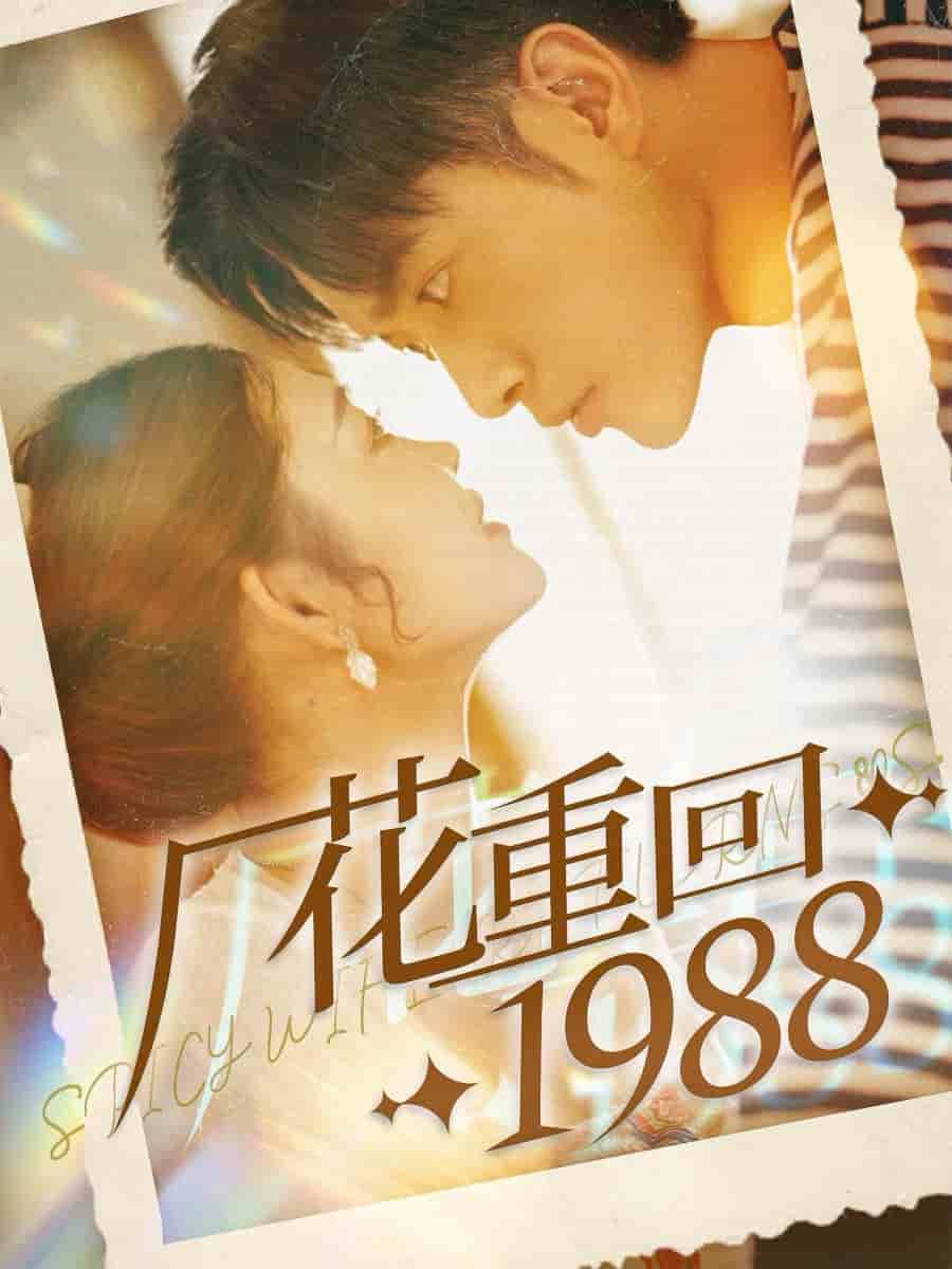 廠花重回1988第30集